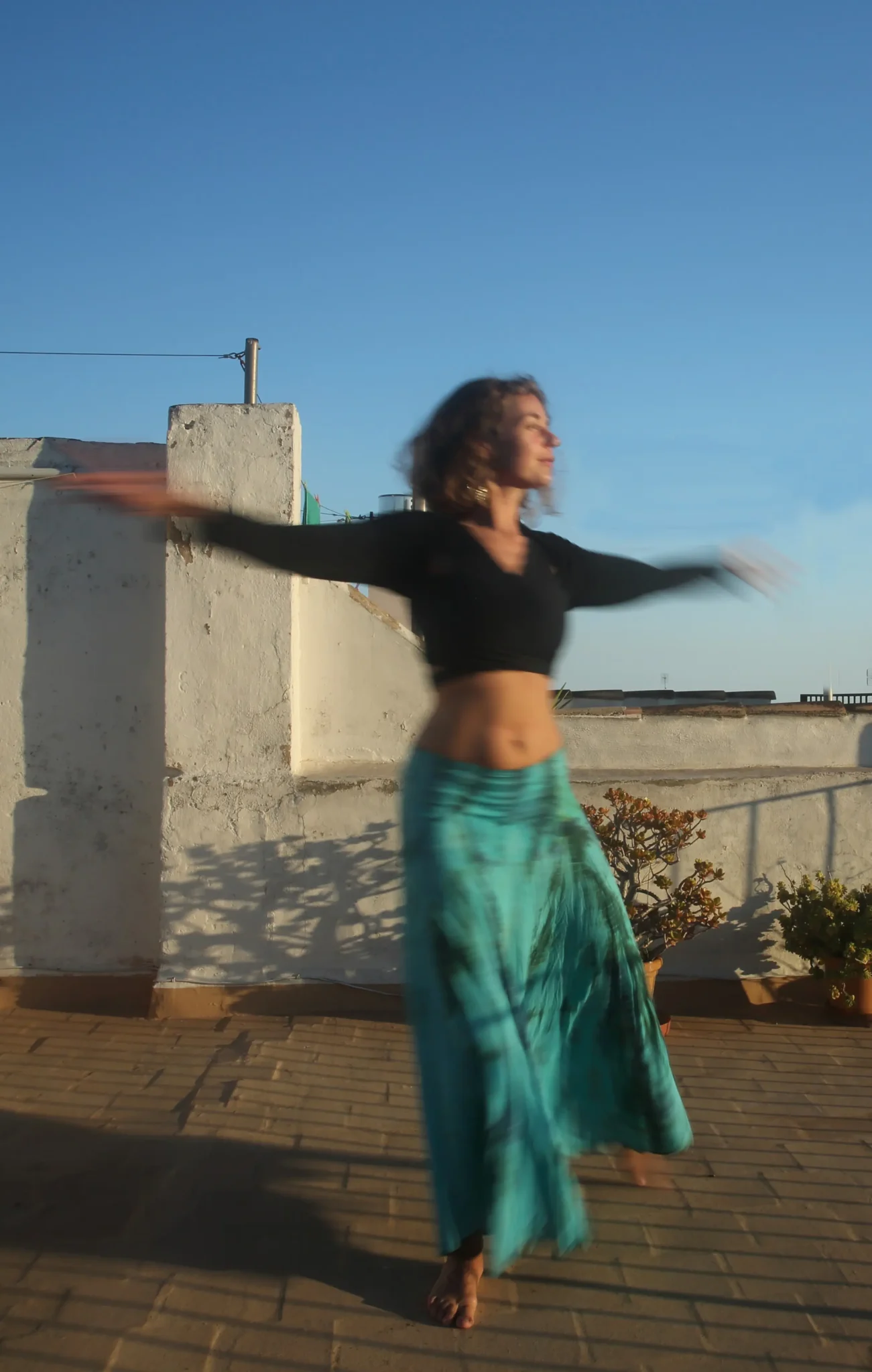 apartado DANZA
